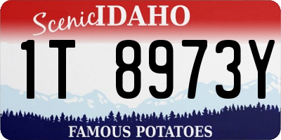 ID license plate 1T8973Y