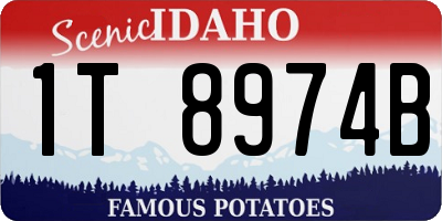 ID license plate 1T8974B
