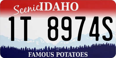 ID license plate 1T8974S