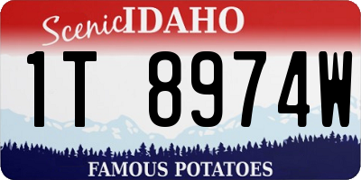 ID license plate 1T8974W
