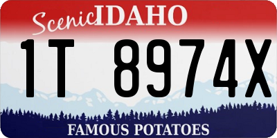 ID license plate 1T8974X