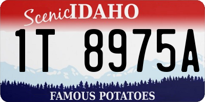 ID license plate 1T8975A