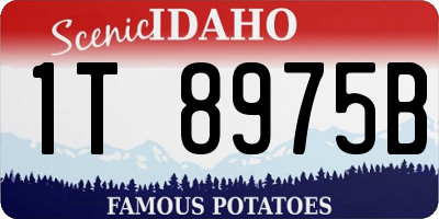 ID license plate 1T8975B