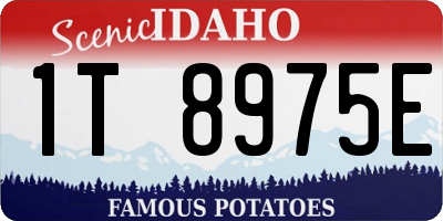 ID license plate 1T8975E