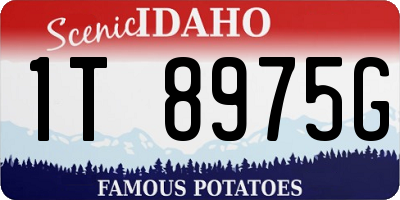 ID license plate 1T8975G
