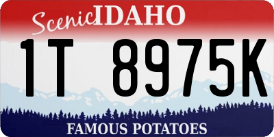 ID license plate 1T8975K
