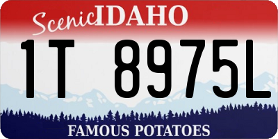ID license plate 1T8975L