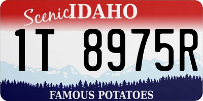 ID license plate 1T8975R