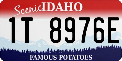 ID license plate 1T8976E