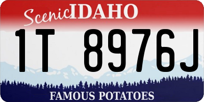 ID license plate 1T8976J