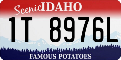 ID license plate 1T8976L