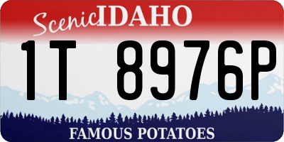 ID license plate 1T8976P