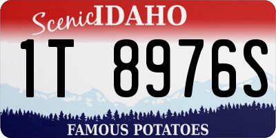 ID license plate 1T8976S