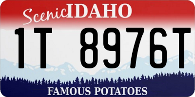ID license plate 1T8976T