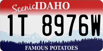 ID license plate 1T8976W