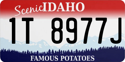 ID license plate 1T8977J