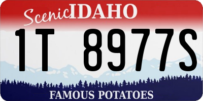 ID license plate 1T8977S
