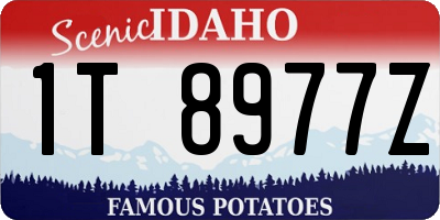 ID license plate 1T8977Z