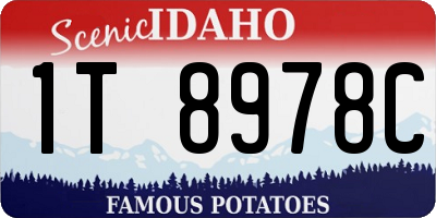ID license plate 1T8978C