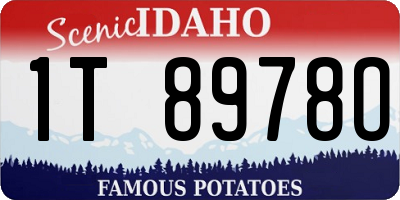 ID license plate 1T8978O