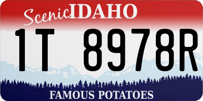 ID license plate 1T8978R