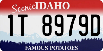ID license plate 1T8979D
