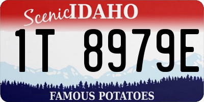 ID license plate 1T8979E