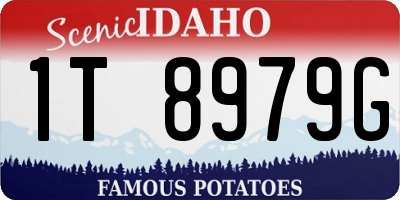 ID license plate 1T8979G