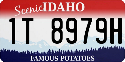 ID license plate 1T8979H