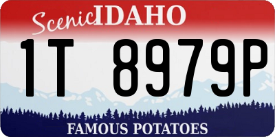 ID license plate 1T8979P
