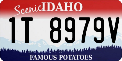 ID license plate 1T8979V