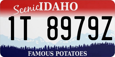 ID license plate 1T8979Z