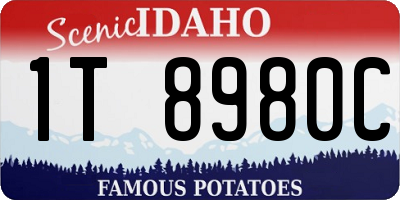ID license plate 1T8980C