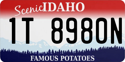 ID license plate 1T8980N
