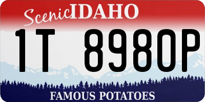 ID license plate 1T8980P