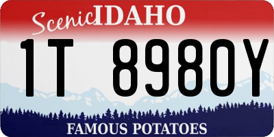 ID license plate 1T8980Y