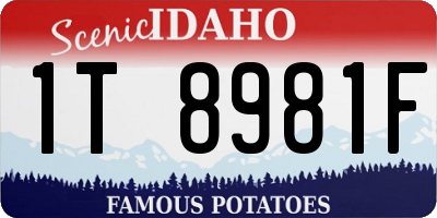 ID license plate 1T8981F