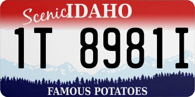 ID license plate 1T8981I