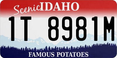 ID license plate 1T8981M