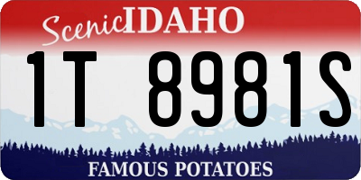 ID license plate 1T8981S