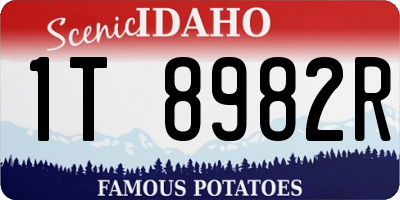 ID license plate 1T8982R