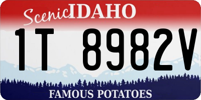 ID license plate 1T8982V