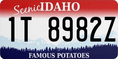 ID license plate 1T8982Z