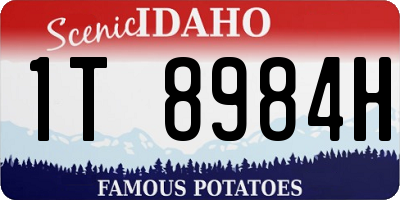 ID license plate 1T8984H