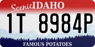 ID license plate 1T8984P