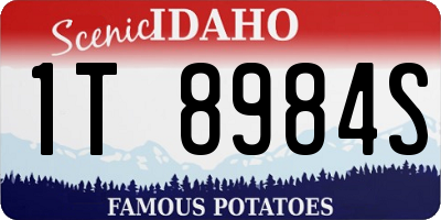 ID license plate 1T8984S