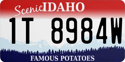 ID license plate 1T8984W