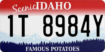 ID license plate 1T8984Y