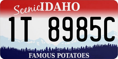 ID license plate 1T8985C