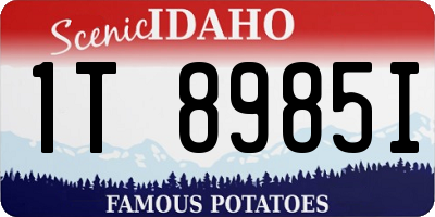 ID license plate 1T8985I